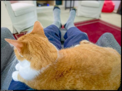 Santacruz e Santos S.A.