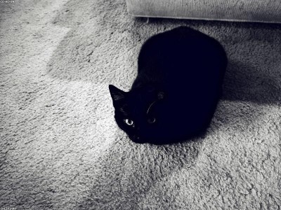 Alcantara e Filhos Group