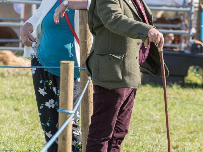 Galvão Ltda. Solutions