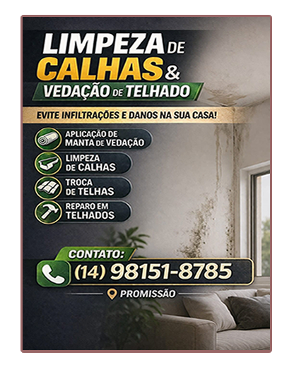 Freire Limpeza & Conservação Promissão