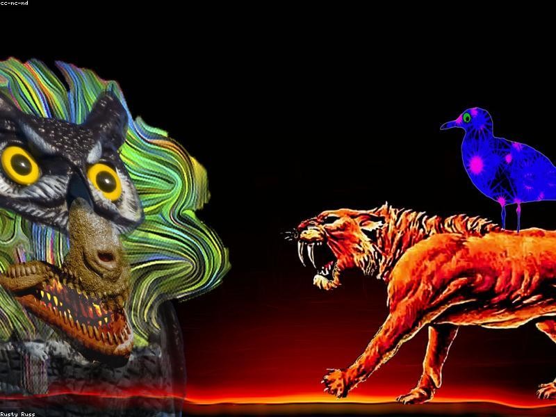 Souza Ltda. Services