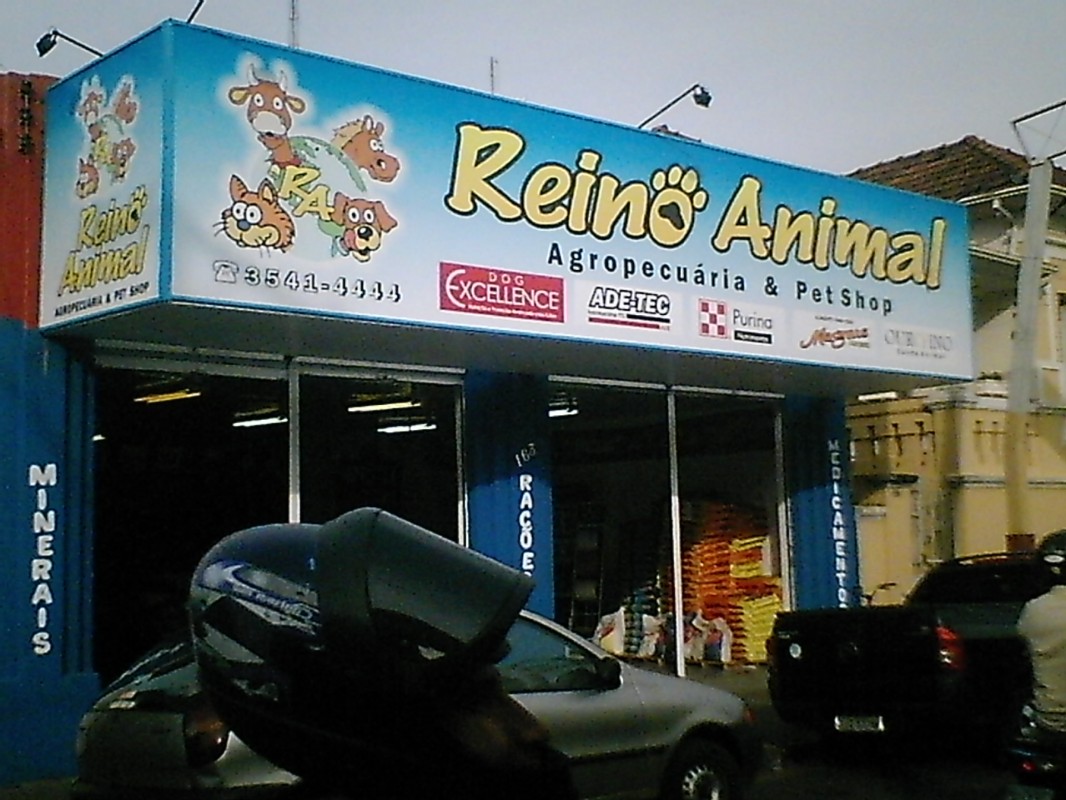 Reino Animal - Promissão