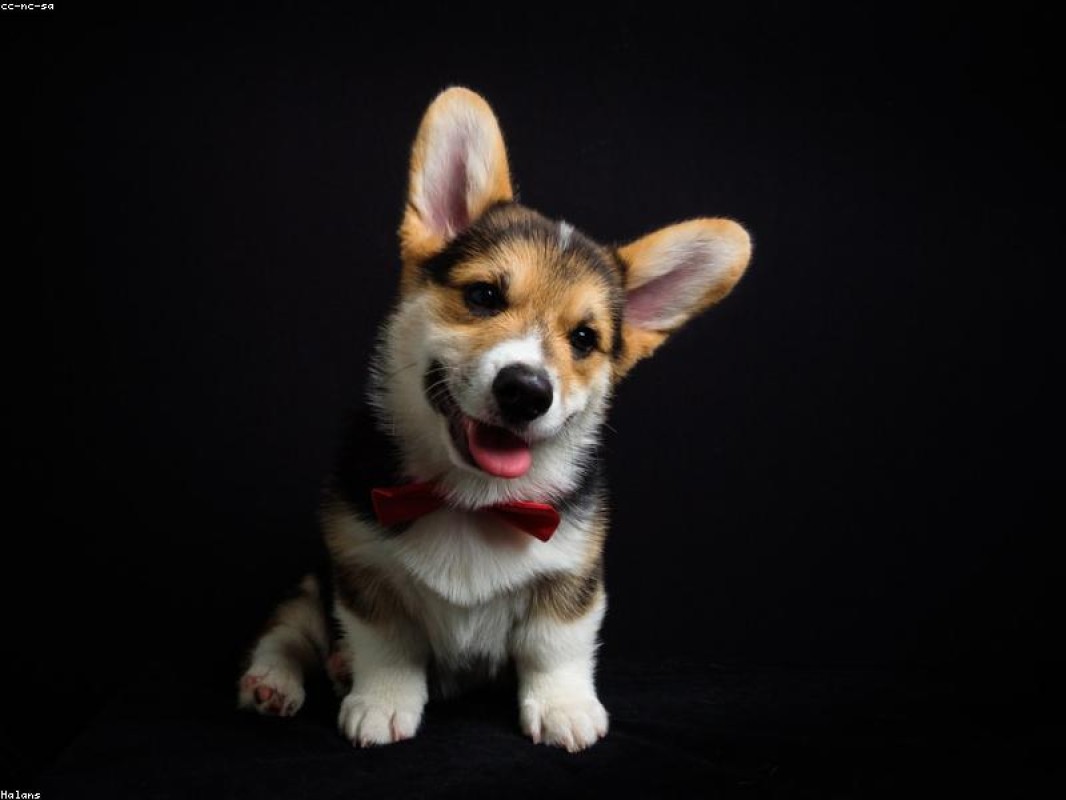 Martines e Filhos Ltda