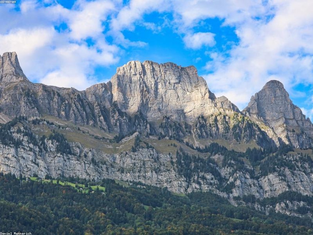 Vale-Campos Services